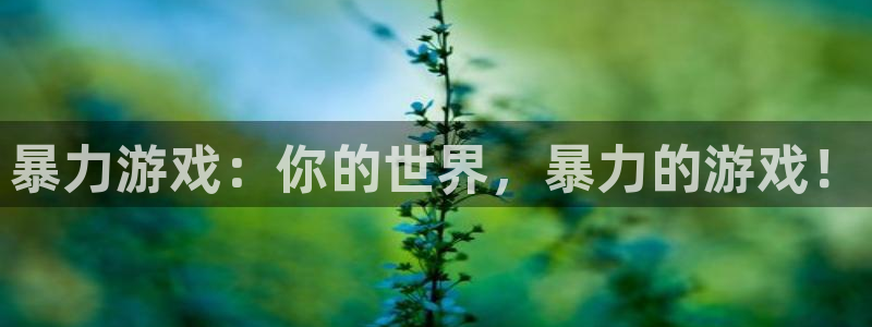 杏悦娱乐是什么平台公司
