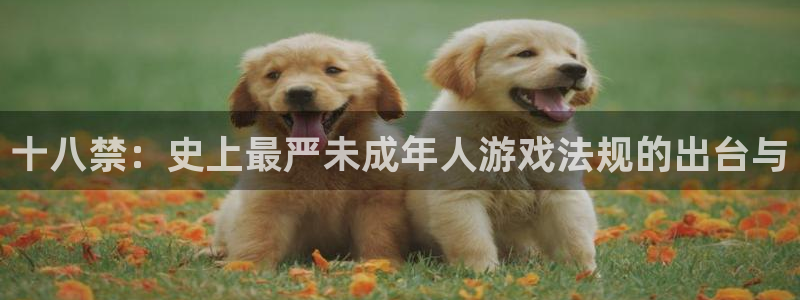 杏悦娱乐会员开户注册：十八禁：史上最严未成年人游戏法规的出台