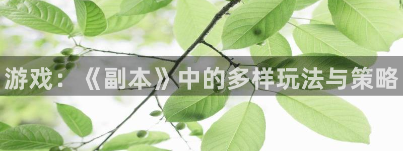 杏悦娱乐总代理：游戏：《副本》中的多样玩法与策略