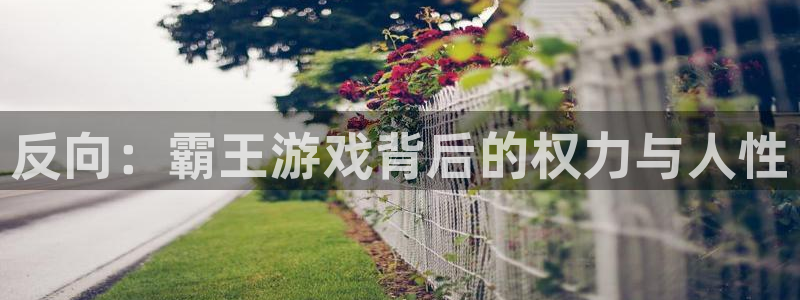 杏悦登录地址：反向：霸王游戏背后的权力与人性
