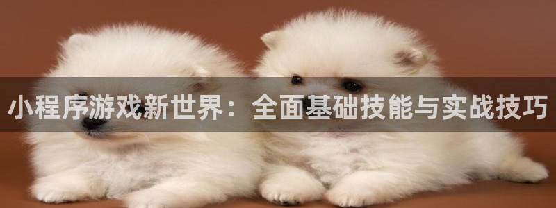 杏悦娱乐注册地址查询官网入口