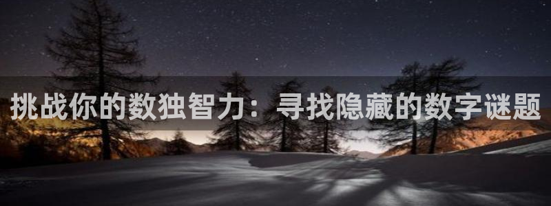 杏悦娱乐登录网页版：挑战你的数独智力：寻找隐藏的数字谜题