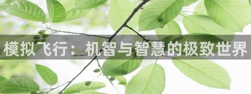 杏悦娱乐是什么平台的：模拟飞行：机智与智慧的极致世界