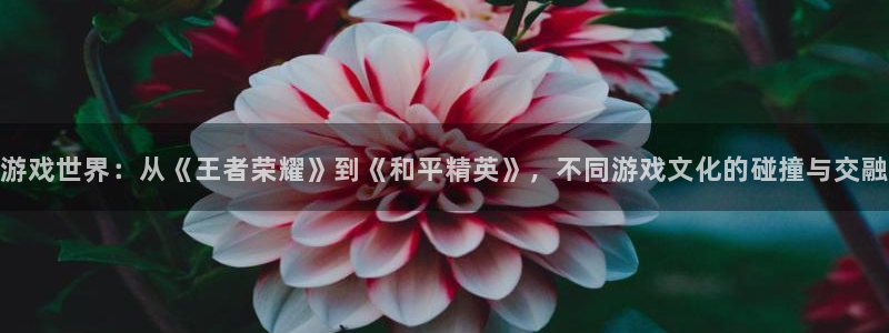 杏悦代理在线注册：游戏世界：从《王者荣耀》到《和平精英》，不
