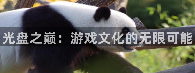 杏悦娱乐注册地址是哪里的